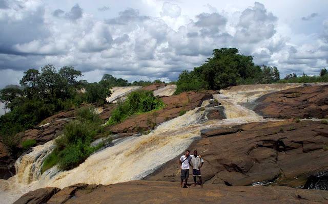 Sorpresas entre el mato