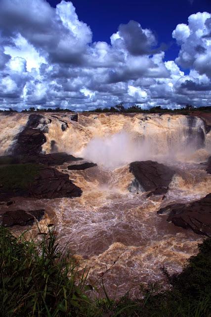 Sorpresas entre el mato