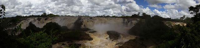 Sorpresas entre el mato