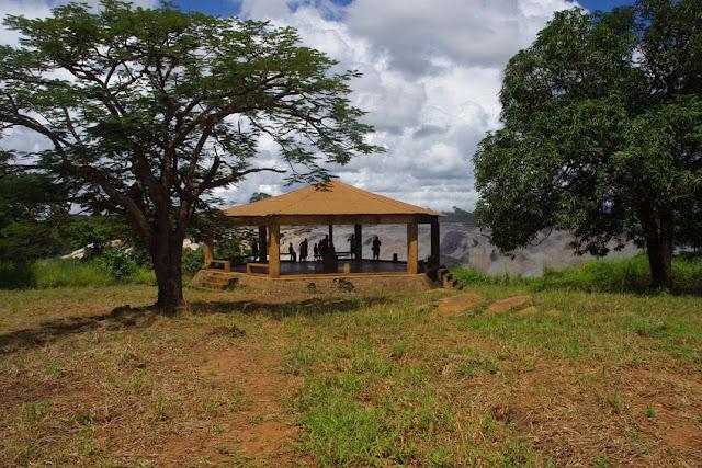 Sorpresas entre el mato