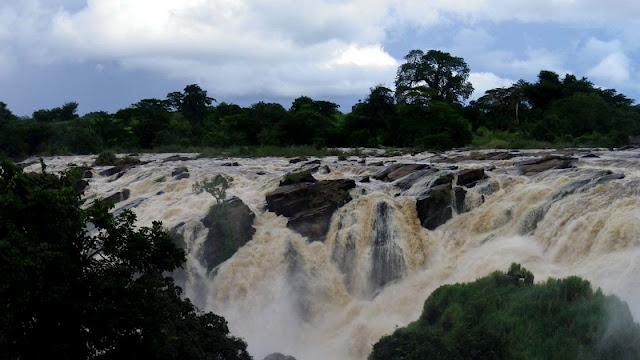 Sorpresas entre el mato