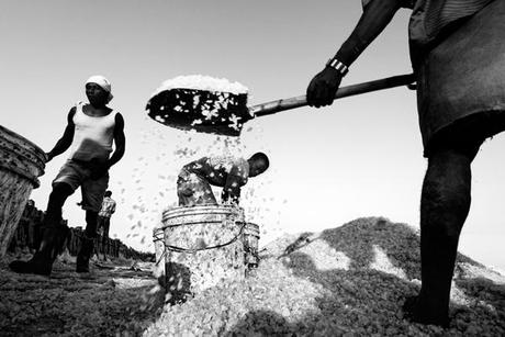 Antonio Gibotta-Factory of Salt. nuncalosabre