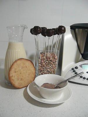 THERMOMIX CAKE POPS DE CHOCOLATE THERMOMIX CAKE POPS DE CHOCOLATE