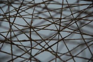 CARÁCTER Y COMPETENCIA