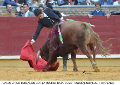 FESTIVAL DEL CÁNCER EN CÓRDOBA:  MORENO FIRMA LO MEJOR DE LA TARDE EN EL TRADICIONAL FESTEJO