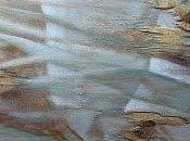 Como diamante, María Carmen Cerezal