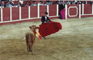 A un torero. Juanito in Memoriam
