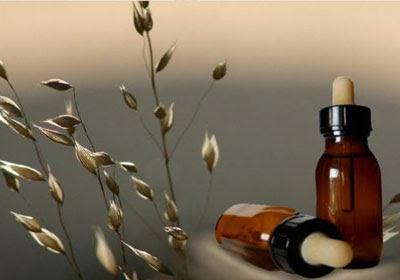 Los productos naturales terapéuticos cubanos