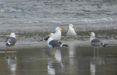 Pequeñas notas de migración
