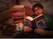 Libro Favorito", Dibam