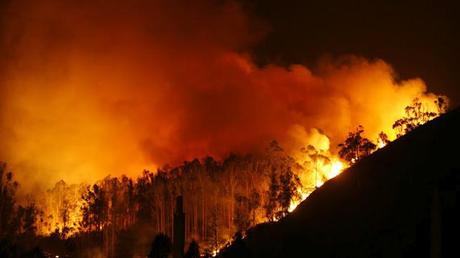 Un paraíso destruido: La Fragas del Eume