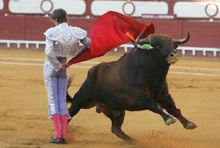 Sobre las corridas de toros