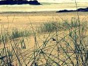Playa Xagó