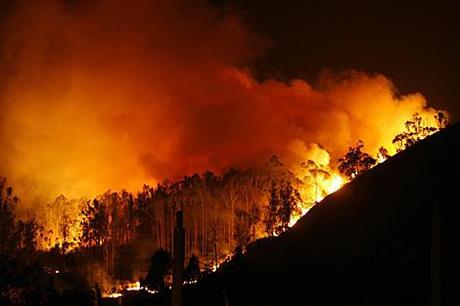 Incendios ¿intencionados?