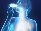 Alimentos bacterias probióticas, beneficiosas para organismo