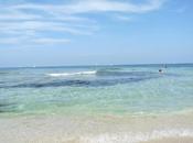 Calentando motores: Ibiza