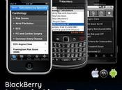 Lanza BlackBerry Mobile Fusion