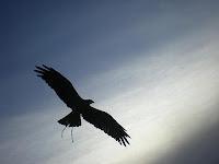 Cuadernos navideños (XI): Parque de Cabárceno Cuadernos navideños (XI): Parque de Cabárceno