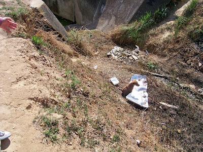 LUISITO, disparado y arrojado a un canal.