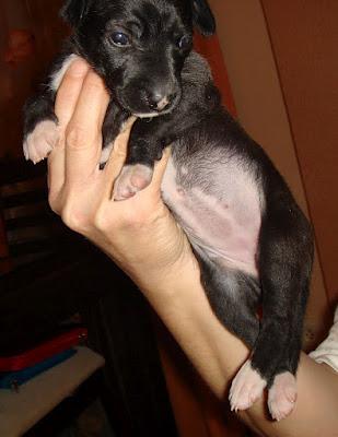 Abandonada con un biberón y una mantita!!