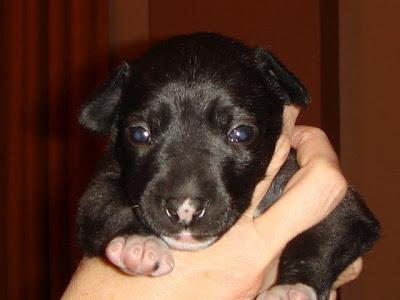 Abandonada con un biberón y una mantita!!