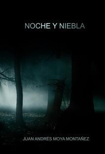 'Noche y niebla' de Juan Andrés Moya Montáñez, grata sorpresa