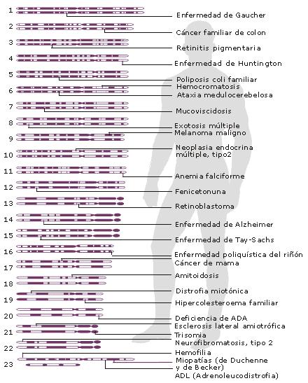 Mapa Genómico Alzheimer