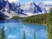 millón dólares otra tecnología para millonarios