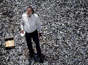 Terraferma, Italia 2011