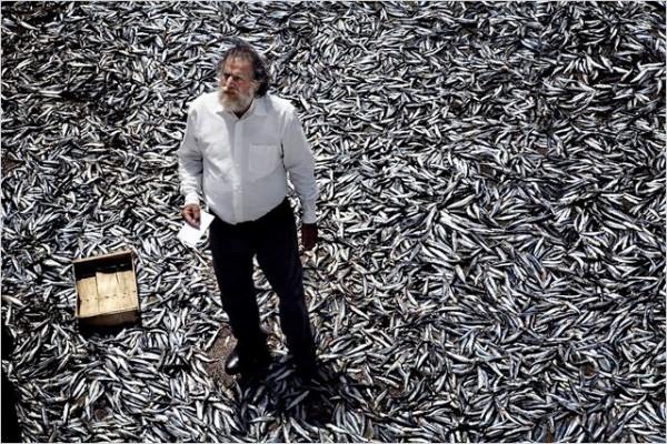 Terraferma, Italia 2011