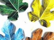 meses cuentan, cuentan