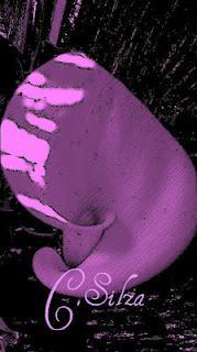 Panal que nutre y sana