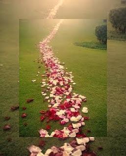 Panal que nutre y sana