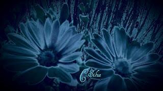 Panal que nutre y sana