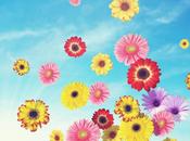 Spring dreams 2012 buylevard