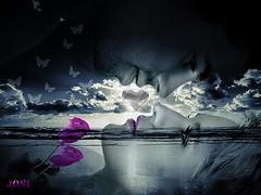 Donde tu amor me incube