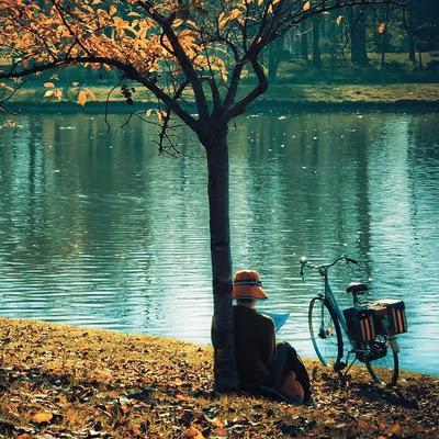 Me aferro a la monotonía