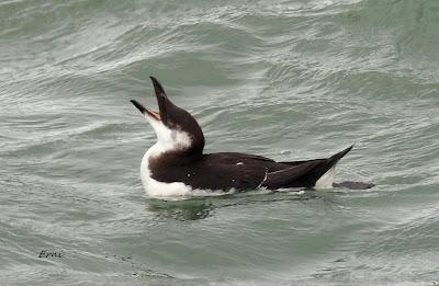 UNA VENTANA DE BUEN TIEMPO