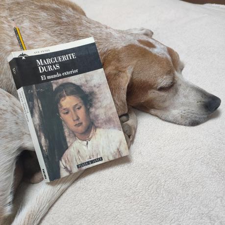 MEJOR NO COMPRENDER QUE COMPRENDER MAL