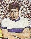 Nestor Martin Segovia
