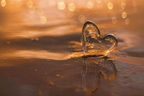 Células deshidratadas, emociones desbordadas Células deshidratadas, emociones desbordadas