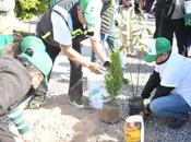 Soledad inicia programa permanente reforestación colonias