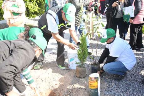 Soledad inicia programa permanente de reforestación en colonias