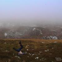 thistle. estrenan Pieces