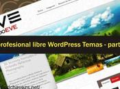 345+ extraordinarios temas WordPress para propia colección