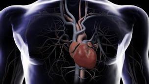 (402)  DESARROLLAN  VACUNA  QUE  EVITA  INFARTOS