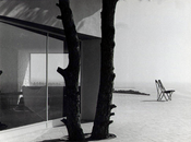 creo sean genios necesitamos ahora