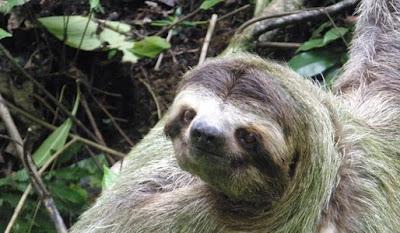 Tour por los principales lugares que se muestran en la película “La Muralla Verde”