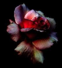 ¡ Vienes miedo, como una losa !