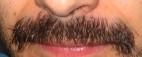 Sin mover el bigote